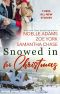 [Holiday Acres #2 (Stranded in the Snow 01] • Snowed in for Christmas